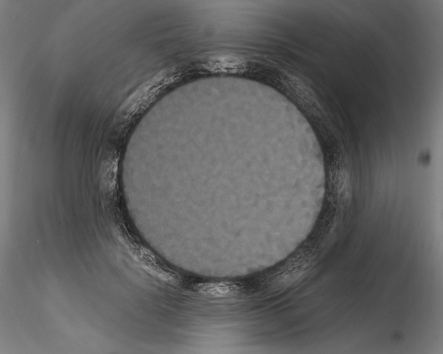 X0000114620652200912011002