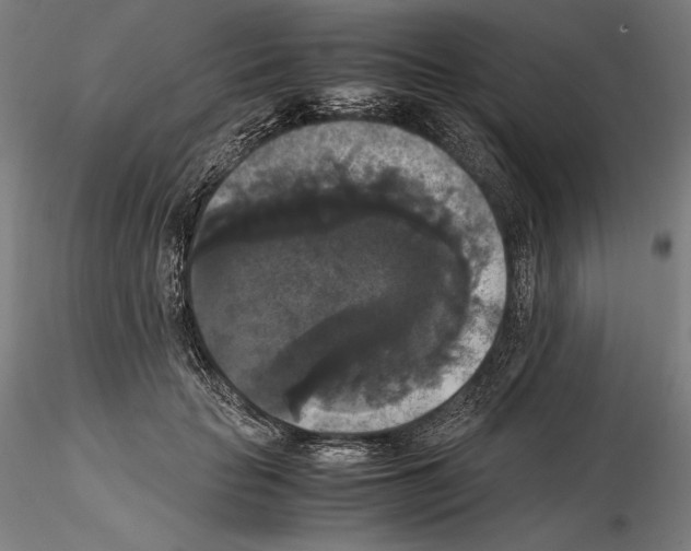 X0000114620653200912011002