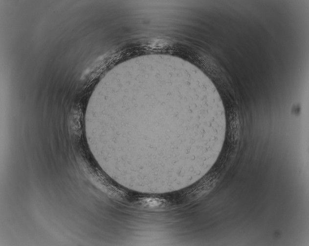 X0000114620654200912011002