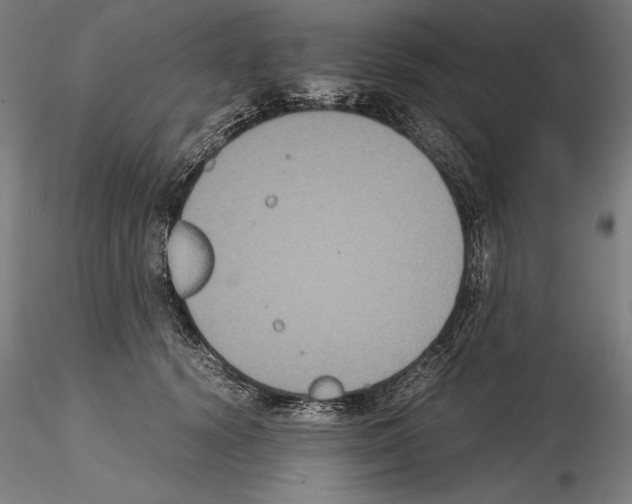 X0000114620656200912011002