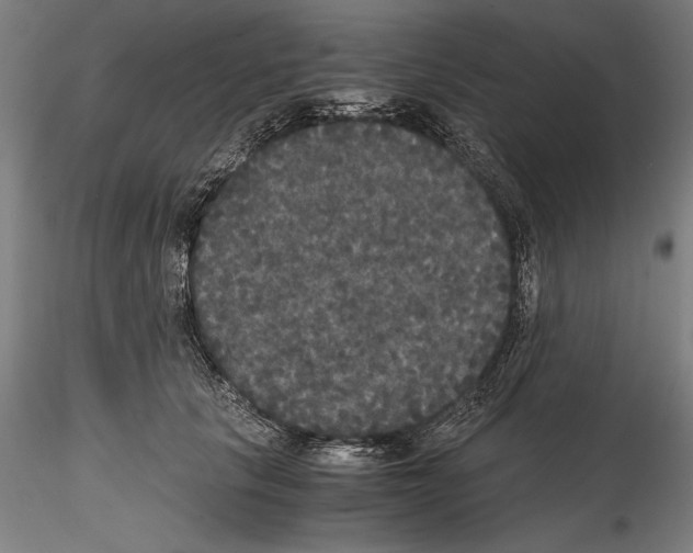 X0000114620657200912011002