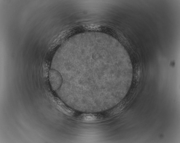 X0000114620658200912011002