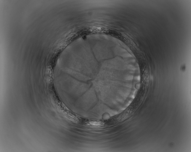 X0000114620659200912011002