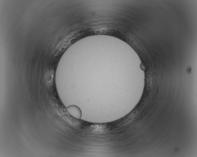 X0000114620660200912011002