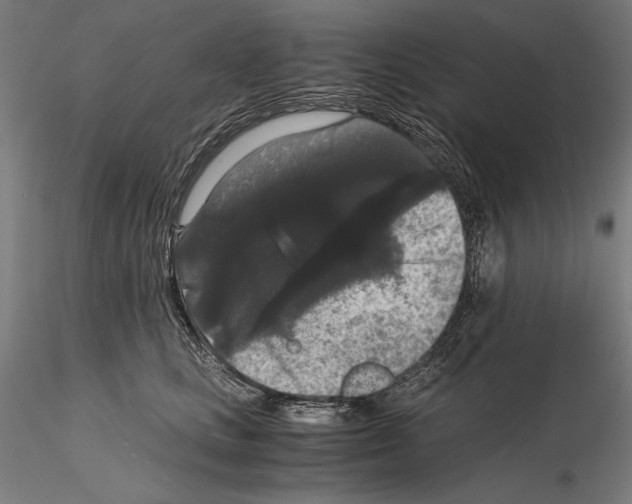 X0000114620661200912011002