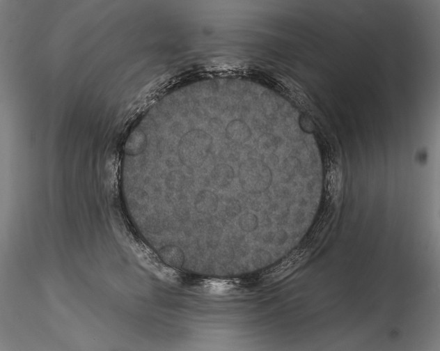 X0000114620662200912011002