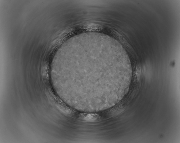 X0000114620663200912011002