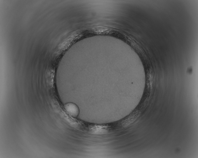 X0000114620664200912011002