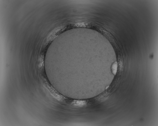 X0000114620665200912011002