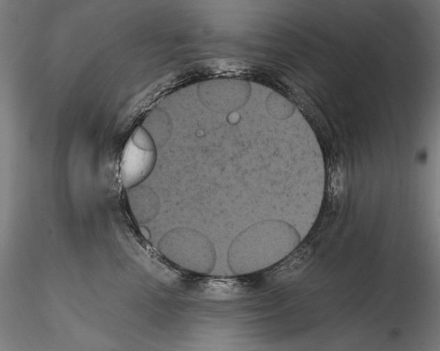 X0000114620666200912011002