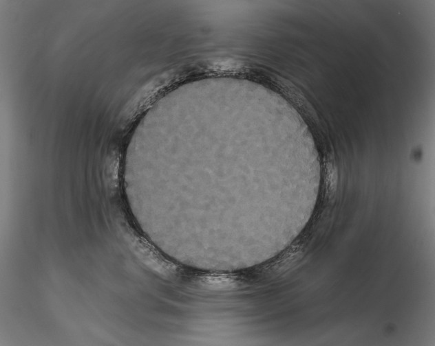 X0000114620668200912011002