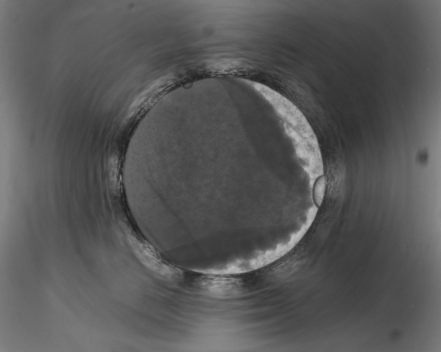 X0000114620670200912011002