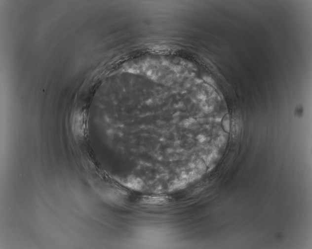 X0000114620671200912011002