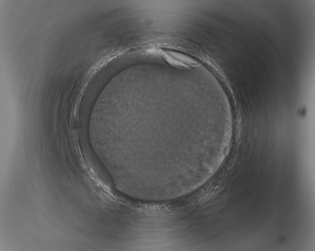 X0000114620673200912011002