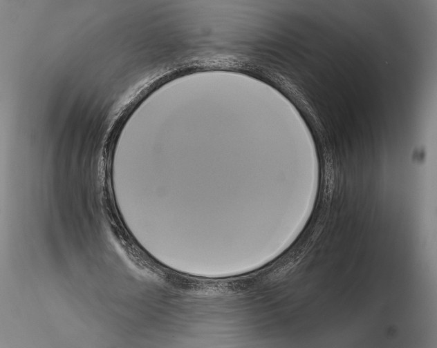 X0000114620674200912011002