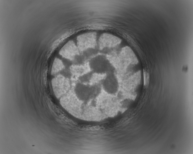 X0000114620675200912011001