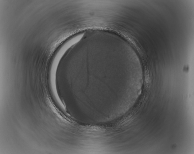 X0000114620677200912011001