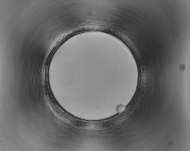 X0000114620678200912011001