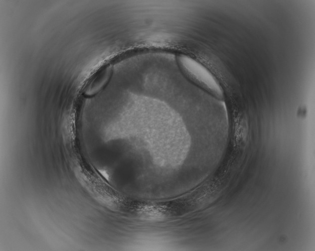 X0000114620680200912011001