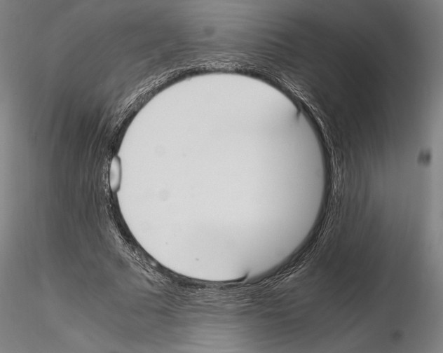 X0000114620681200912011001