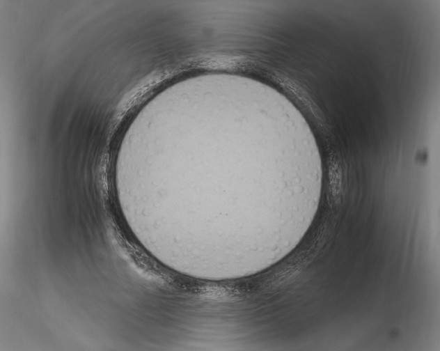 X0000114620682200912011001