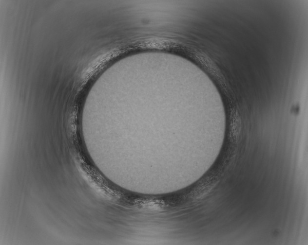 X0000114620683200912011001