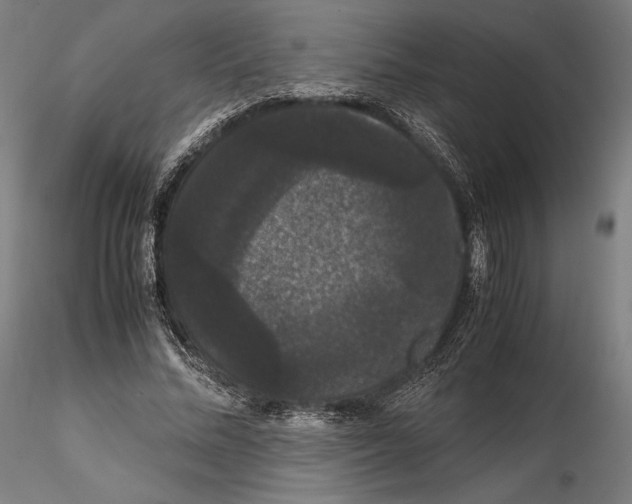 X0000114620684200912011001