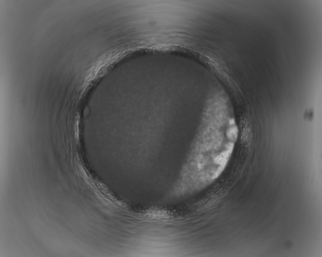 X0000114620685200912011001