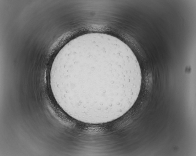 X0000114620686200912011001