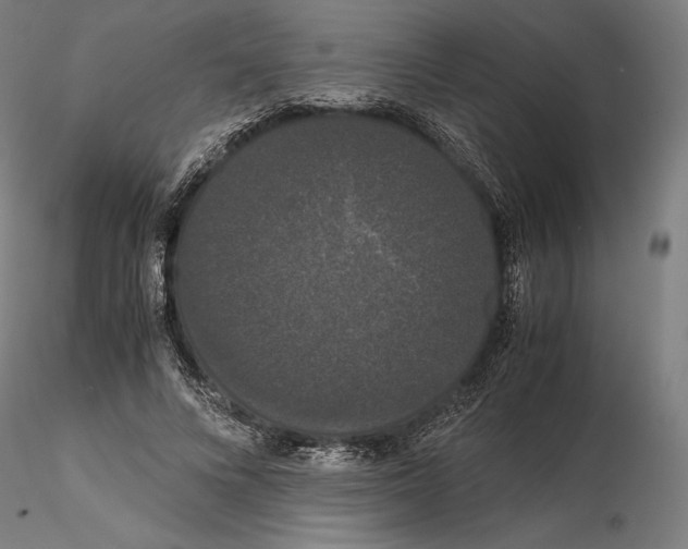 X0000114620688200912011001