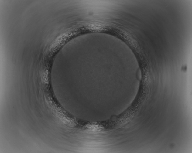 X0000114620689200912011001