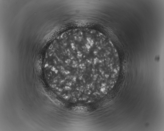 X0000114620691200912011001