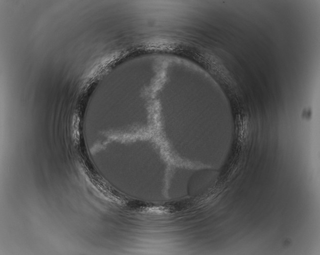 X0000114620692200912011001