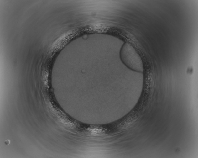 X0000114620693200912011001