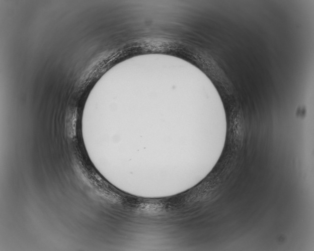 X0000114620694200912011001