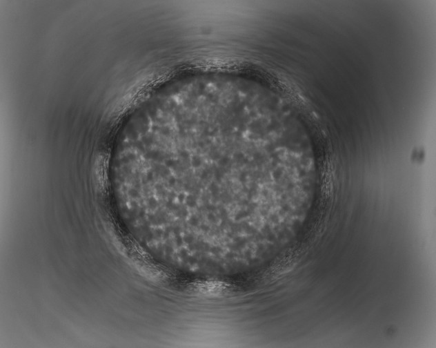 X0000114620695200912011001