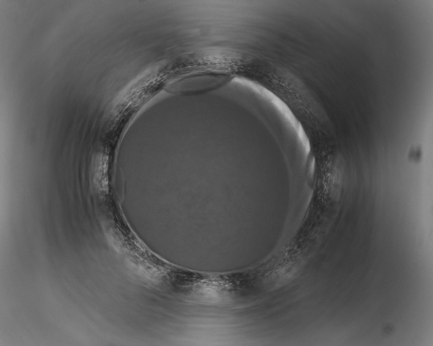 X0000114620696200912011001