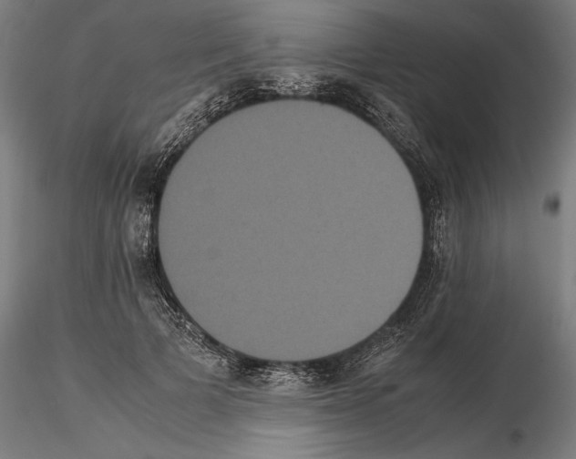 X0000114620697200912011001