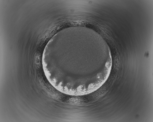 X0000114620699200912011001