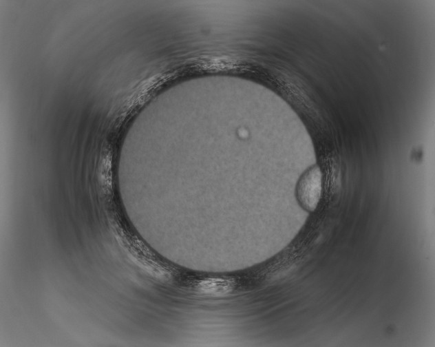 X0000114620700200912011001