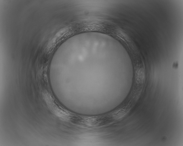 X0000114620701200912011001