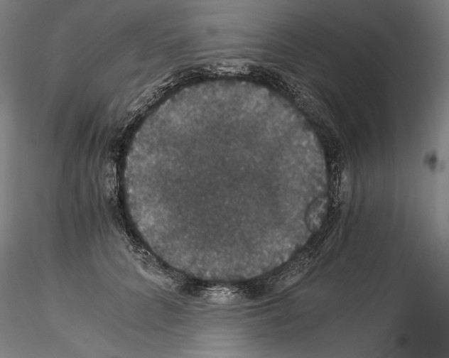 X0000114620704200912011001