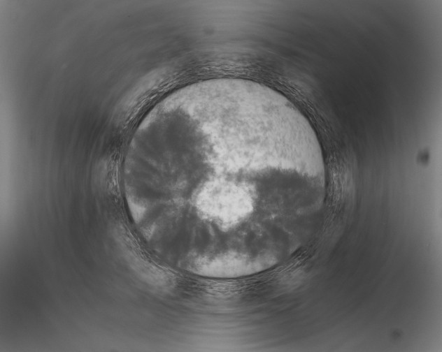 X0000114620705200912011001