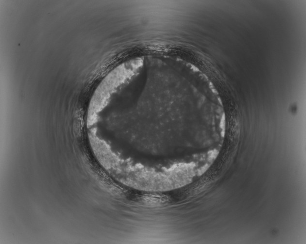 X0000114620707200912011001