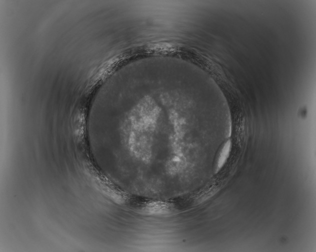 X0000114620708200912011001