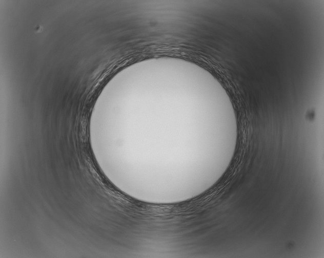 X0000114620709200912011001