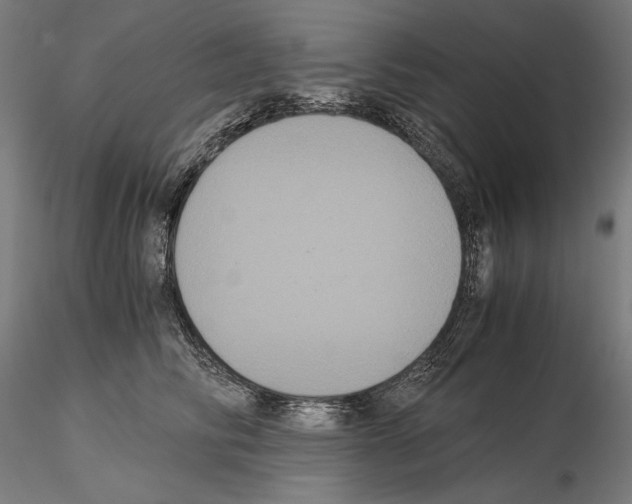 X0000114620710200912011001