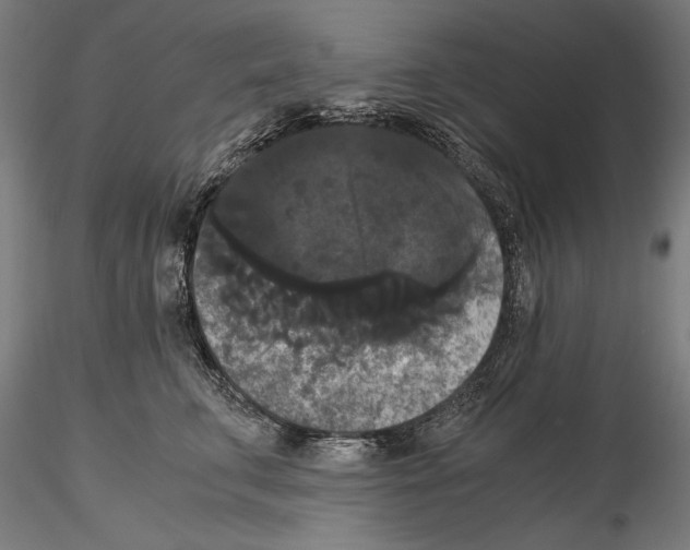 X0000114620711200912011001