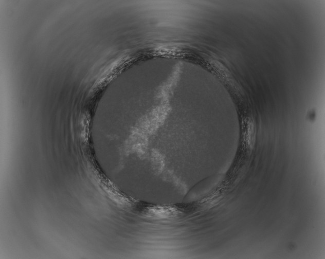 X0000114620712200912011001