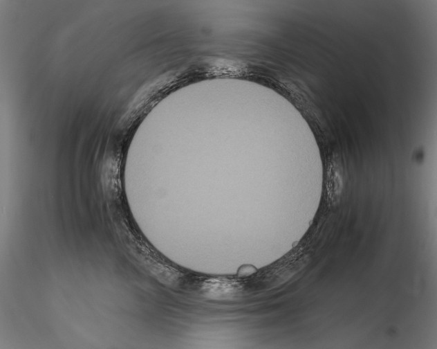 X0000114620714200912011001